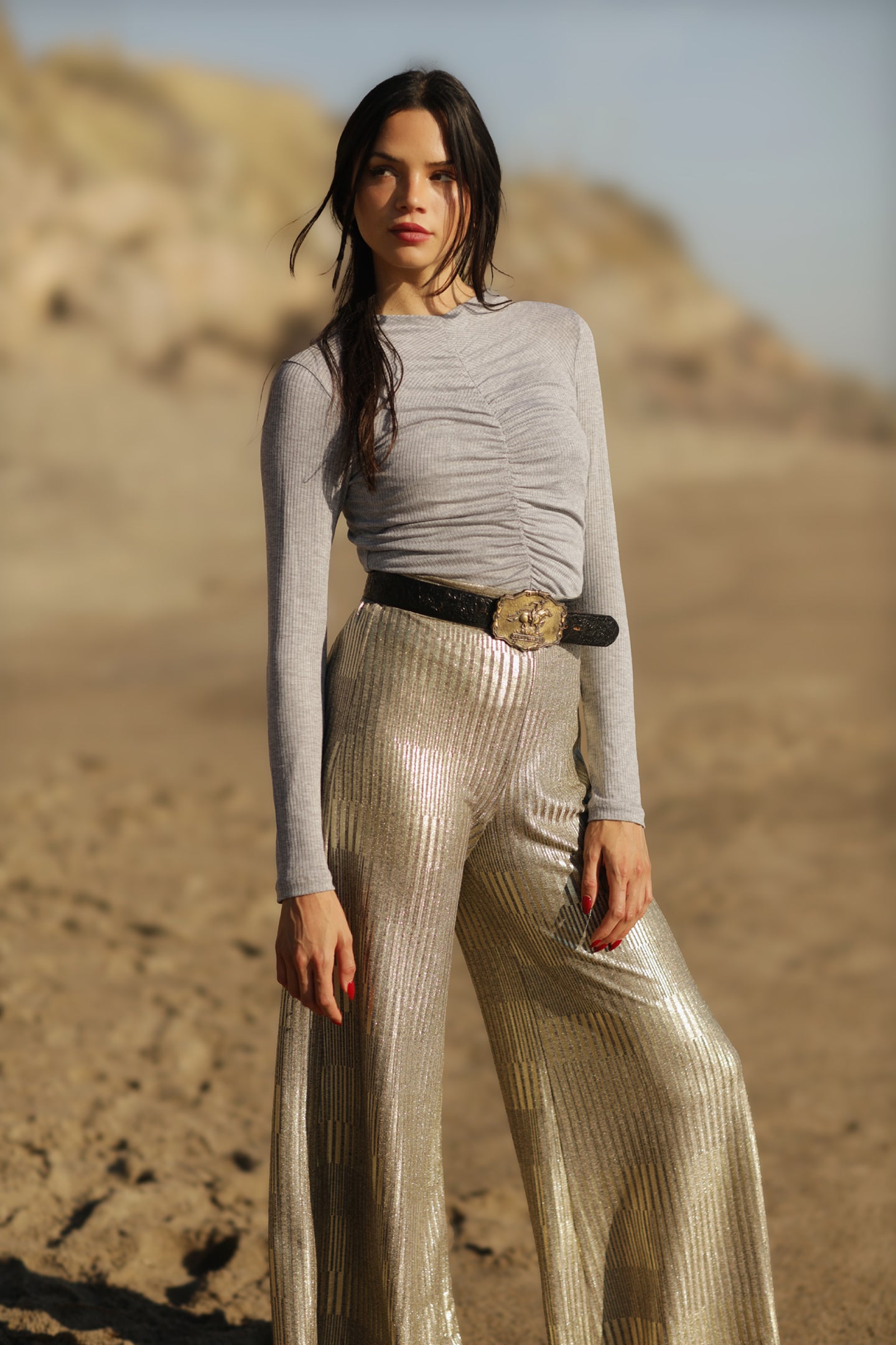 High Waist Metallic Pant